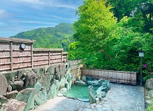Iya Valley Hot Springs Hotel Hikyō-no-yu
