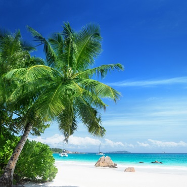 La bellezza di Anse Lazio | Top 3 Seychelles