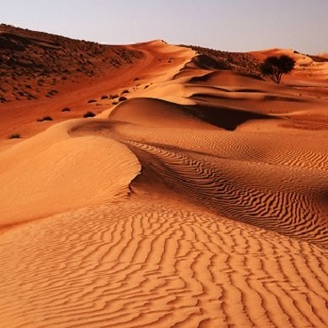Wahiba Sands | Top 3 Oman