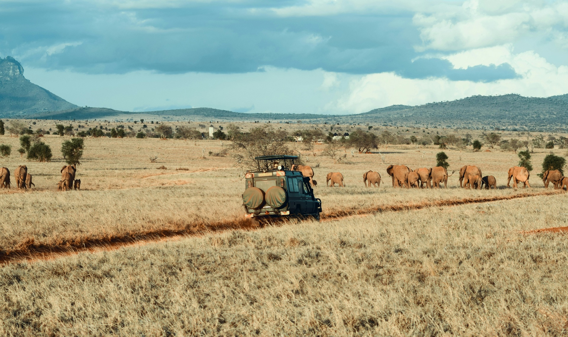 Scene di vita durante un safari | #Safari in Africa #viaggigiovani Abbigliamento per safari in Africa | Cedric Dhaenens on Unsplash | Viaggigiovani.it
