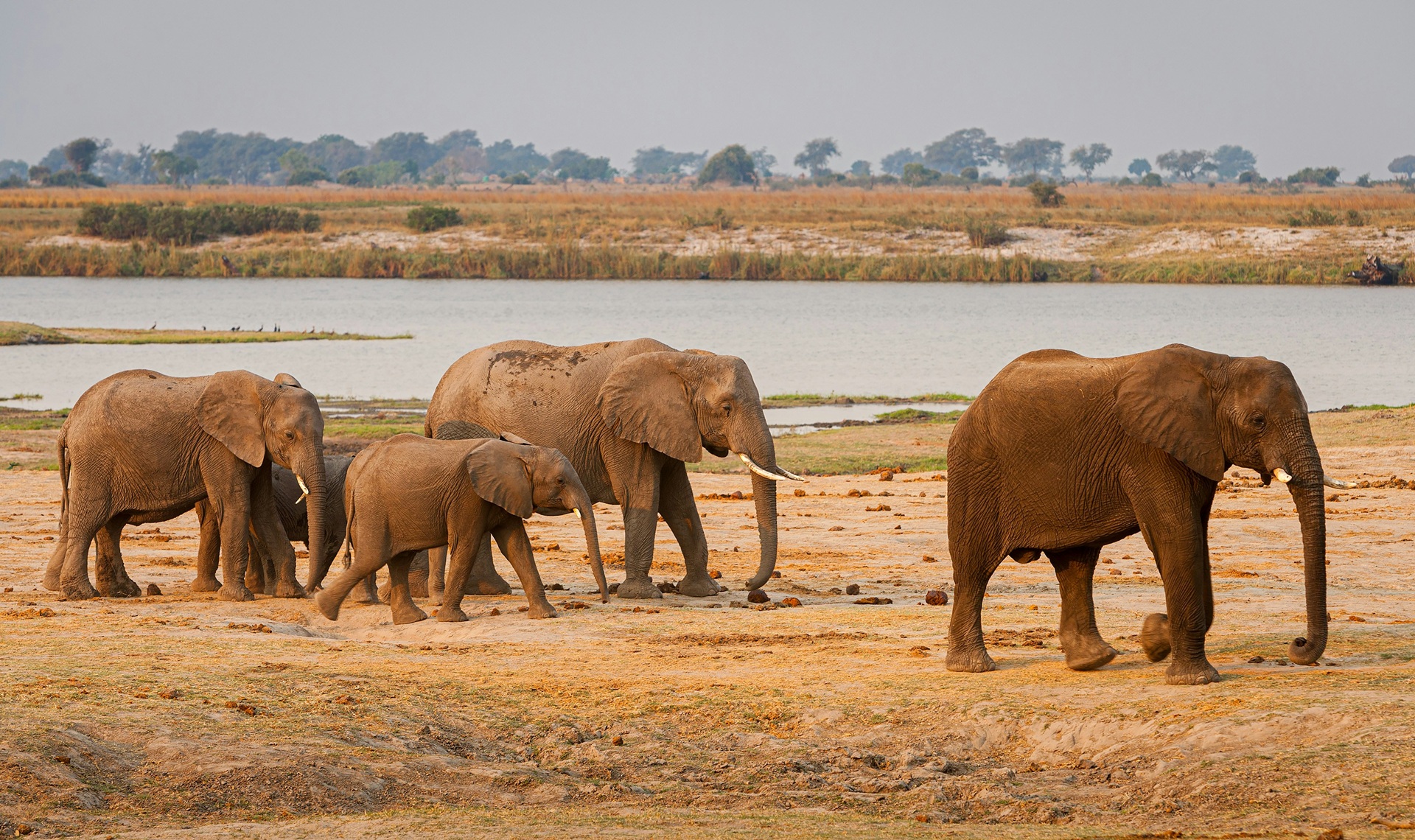 Botswana, cosa vedere nella Terra dei Giganti