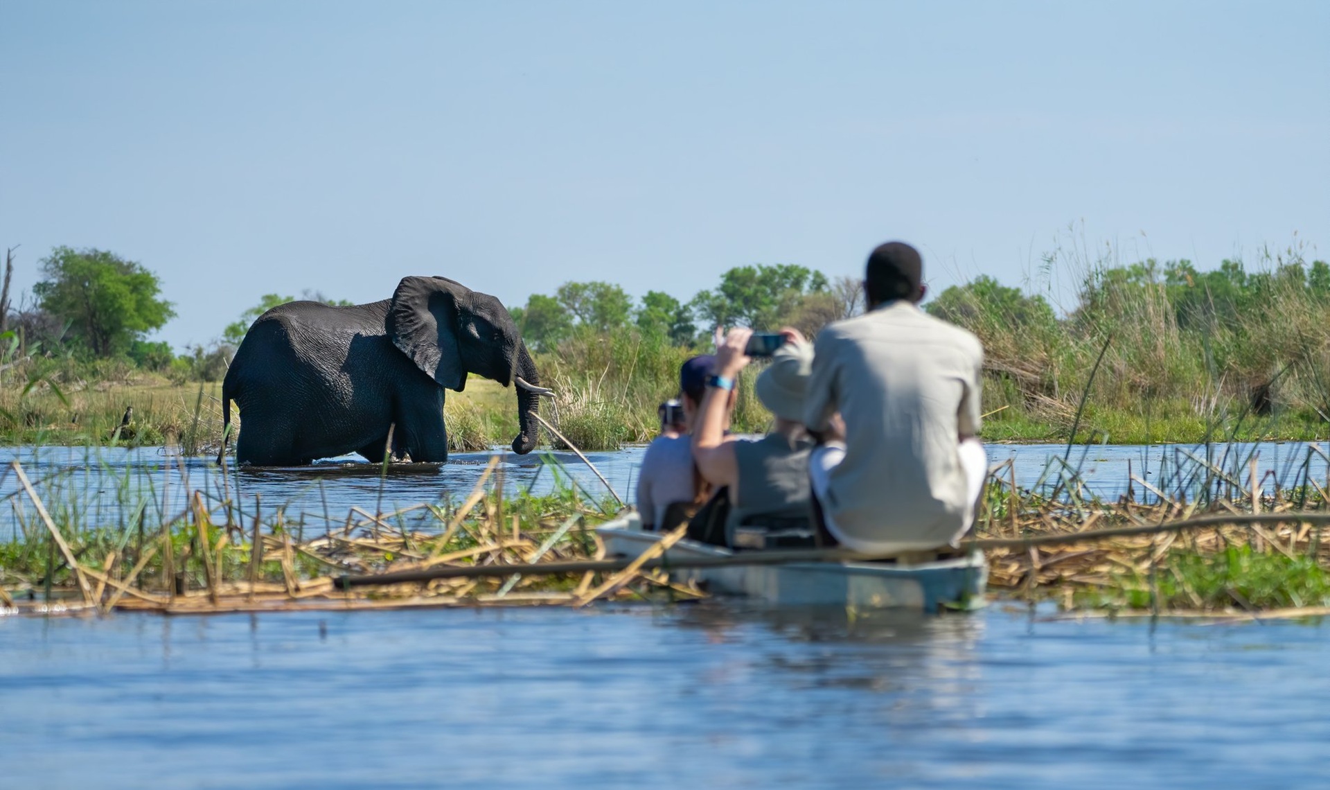 Delta dell'Okavango | Botswana Cosa Vedere | Viaggigiovani.it