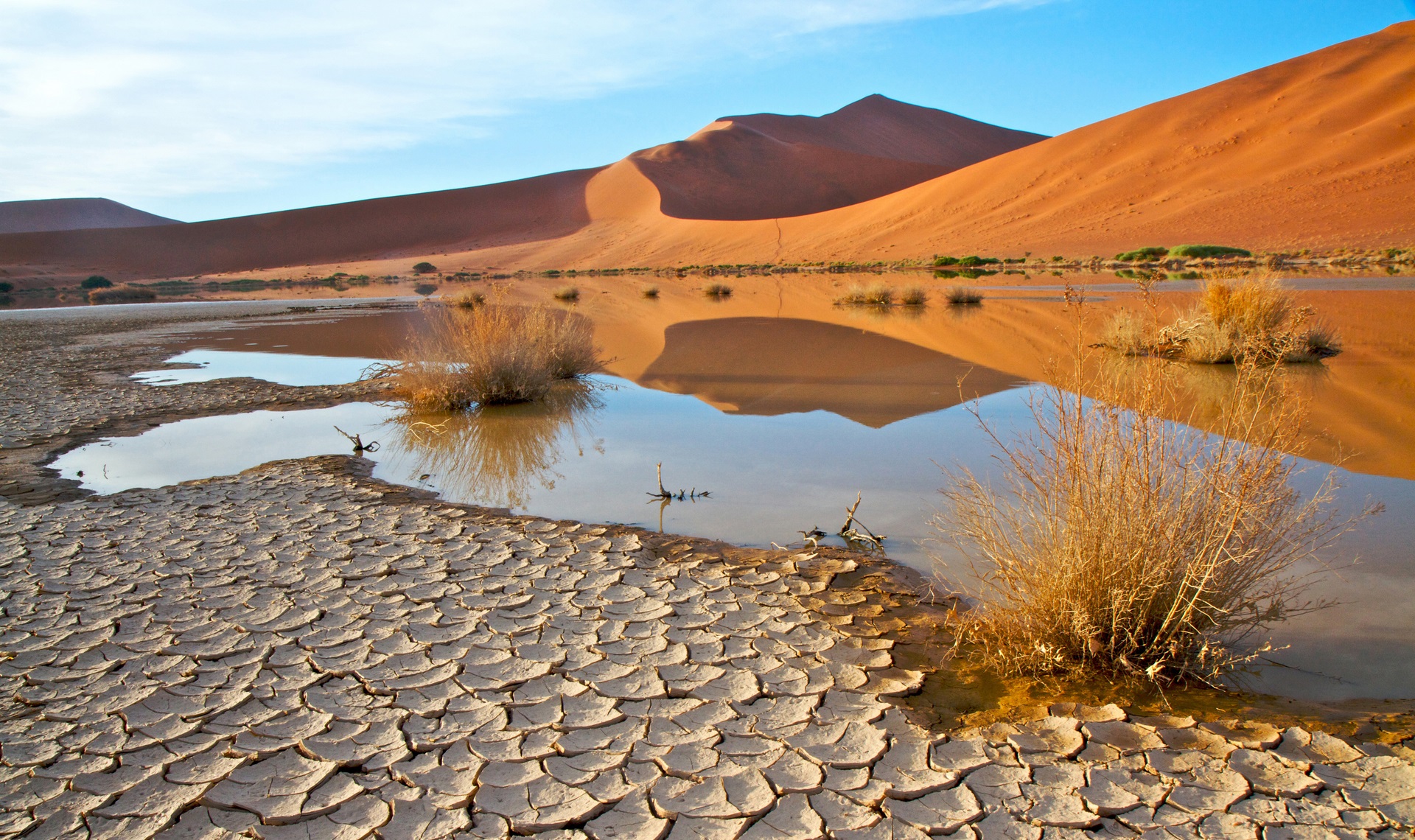 Deserto del Namib | #Namibia #viaggigiovani Deserto del Namib | Consigli Viaggio Namibia | Viaggigiovani.it