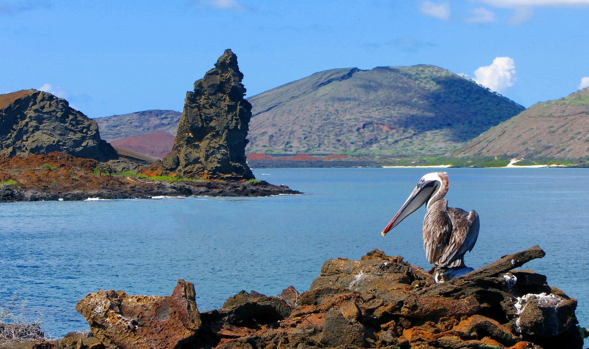 Galapagos, remota terra selvaggia casa di impavide creature e spettacoli naturali