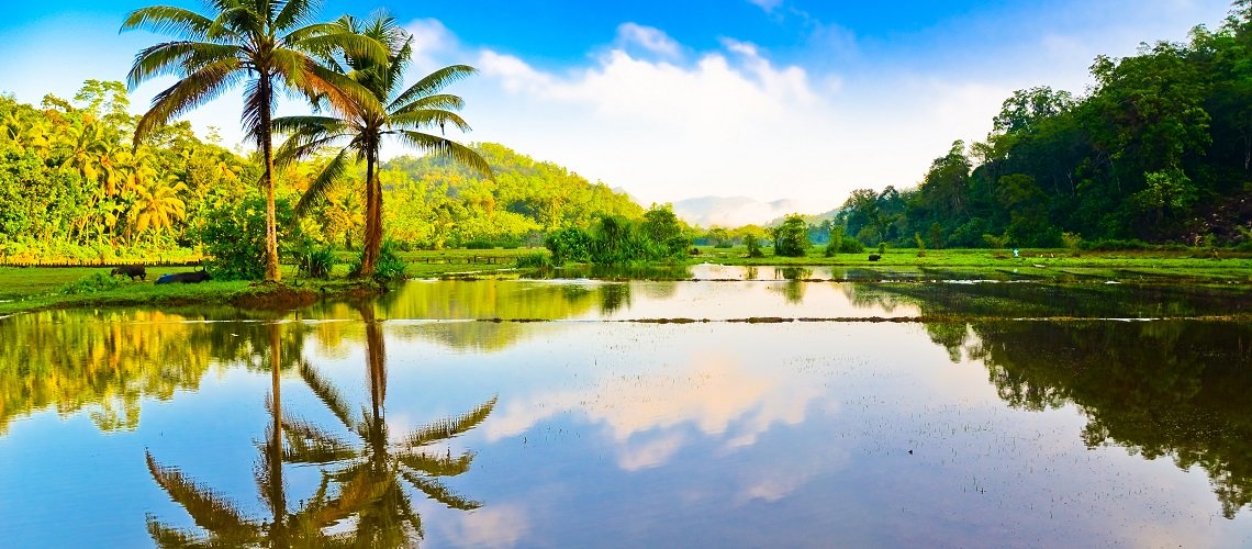 Viaggi Sri Lanka | #viaggigiovani Viaggi Sri Lanka