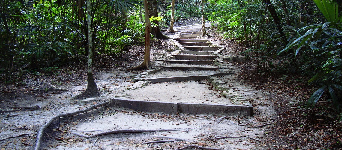 Sentiero Tikal
