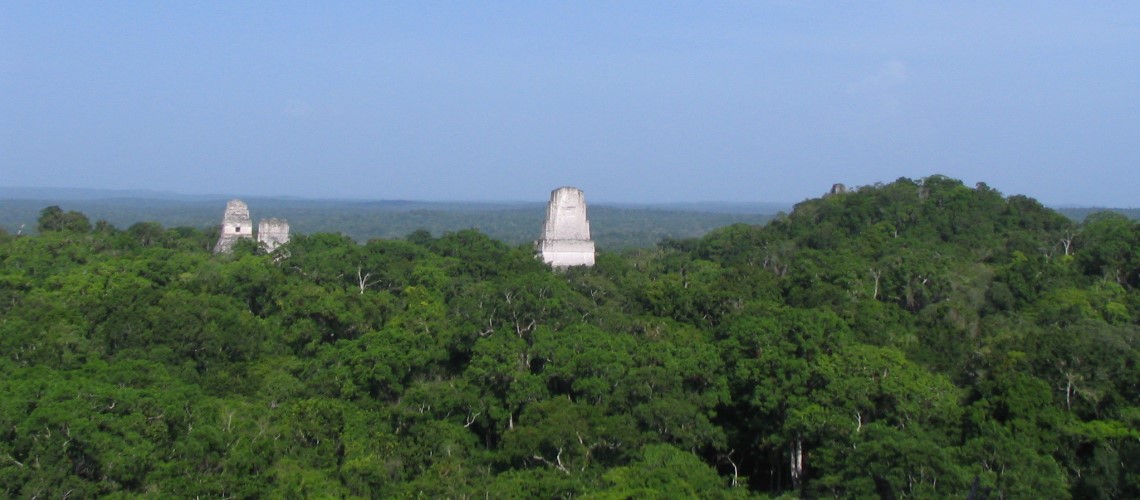 Vista Tikal