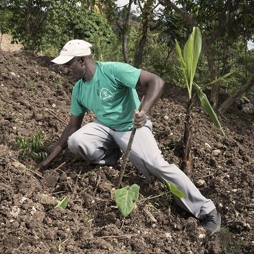 Riforestazione Haiti 2017 - Viaggigiovani.it