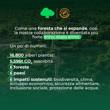 Io viaggio greeen con viaggigiovani