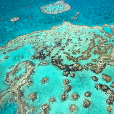 Grande Barriera Corallina | Top 10 Australia