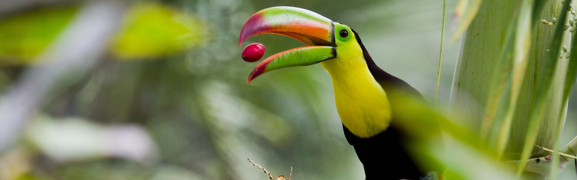 Belize