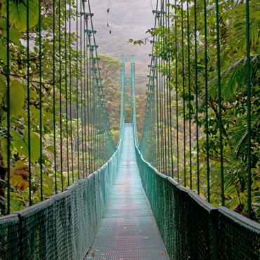 Monteverde | Top 5 Costa Rica