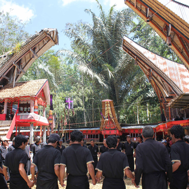 Cerimonia dei Toraja | Top 5 Indonesia