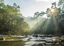 Endau Rompin Park | #viaggigiovani #ViaggiMalesia Endau Rompin Park