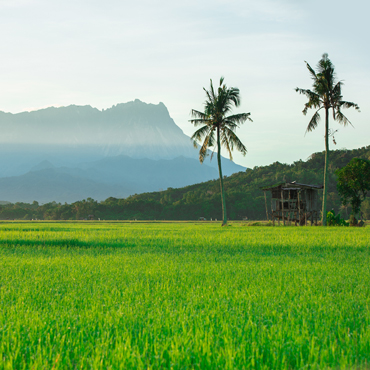 Kota Kinabalu | Top 5 Malesia