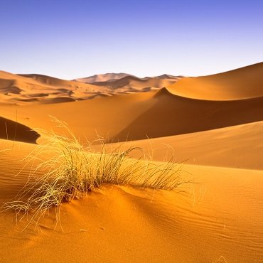 Sahara | Top 3 Marocco
