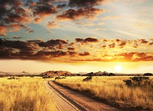 Strada sterrata nel deserto del Kalahari