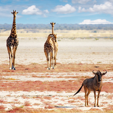 Namibia Classica | Viaggi su misura