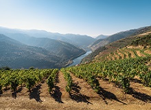 Valle del Douro | #viaggigiovani #ViaggiPortogallo Valle del Douro