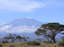 La cima innevata del Kilimanjaro