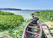 Ssese Islands