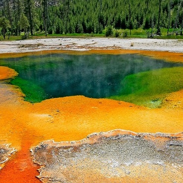 Yellowstone e I parchi del nord