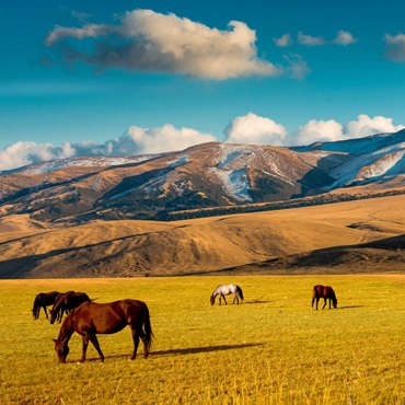Viaggi Kazakistan