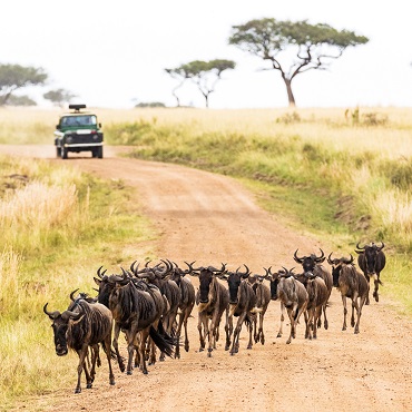 Viaggi Kenya