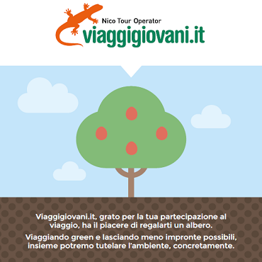 Cartolina Treedom
