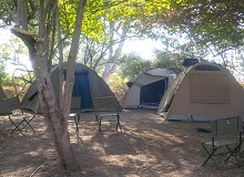 Camping Okavango