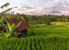 Tranquille e verdi risaie di Sidemen | #Indonesia #viaggigiovani Tranquille e verdi risaie di Sidemen