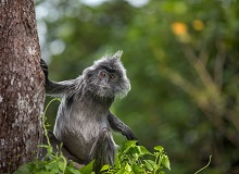 Bako National Park | #Malesia #viaggigiovani Bako National Park