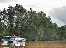 Kinabatangan River | #Malesia #viaggigiovani Kinabatangan River