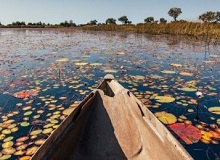 Mokoro lungo l'Okavango