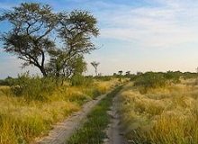 Central Kalahari Game Reserve