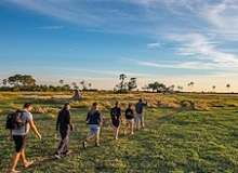 Il Delta Okavango