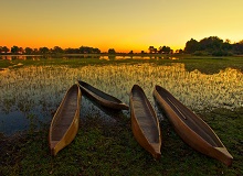 Mokoro Delta Okavango
