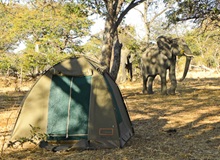 Camping libero