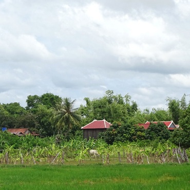 Paesaggi dell'isola di Koh Trong | #viaggigiovani #Cambogia Paesaggi dell'isola di Koh Trong | Top 3 Cambogia