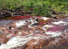 Parque Caño Cristales | #Colombia #viaggigiovani Parque Cano Cristales