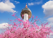 Seoul | #ViaggioCorea #viaggigiovani Seoul