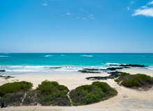 Spiaggia di Isabela | #Ecuador #viaggigiovani Spiaggia di Isabela