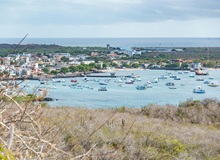 Puerto Ayora | #Ecuador #viaggigiovani Puerto Ayora | Diego F. Barra on Pexels