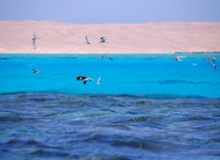 Snorkeling ad Hurghada