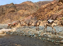 Canyon di Saba | #ViaggioEtiopia #viaggigiovani Canyon di Saba