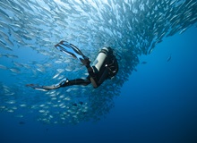 Snorkelling | #Filippine #viaggigiovani Snorkelling
