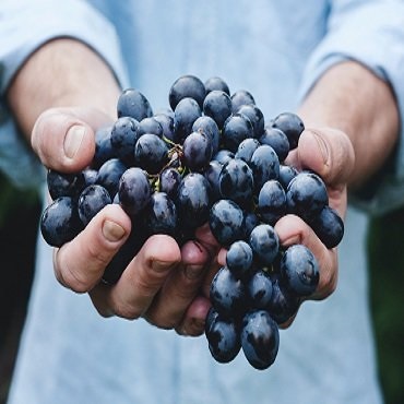 Vino | #viaggigiovani #Georgia Vino | Top 3 Georgia