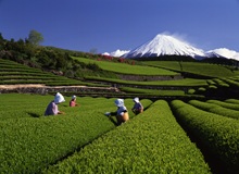 Vista del Fuji