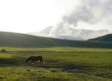 Aso