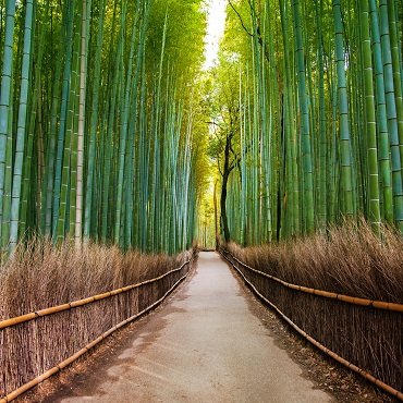 Arashiyama | #viaggigiovani #Giappone Arashiyama | Top 3 Giappone